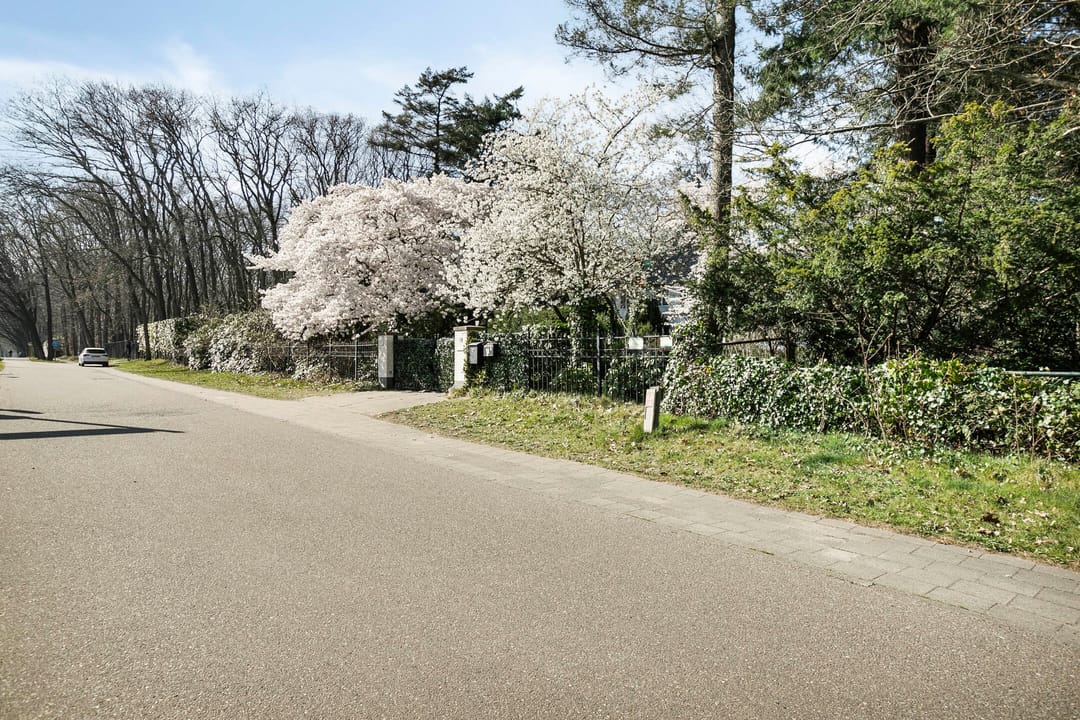 Foto 76 van Utrechtseweg 341