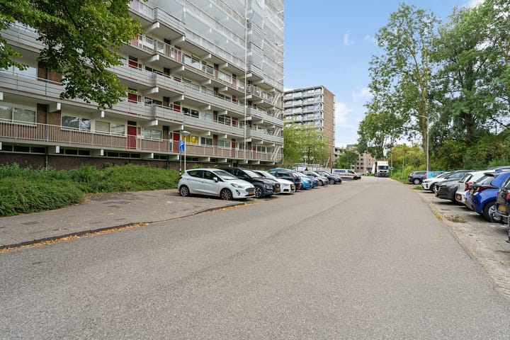 Foto 8 van Jonkerbos 250