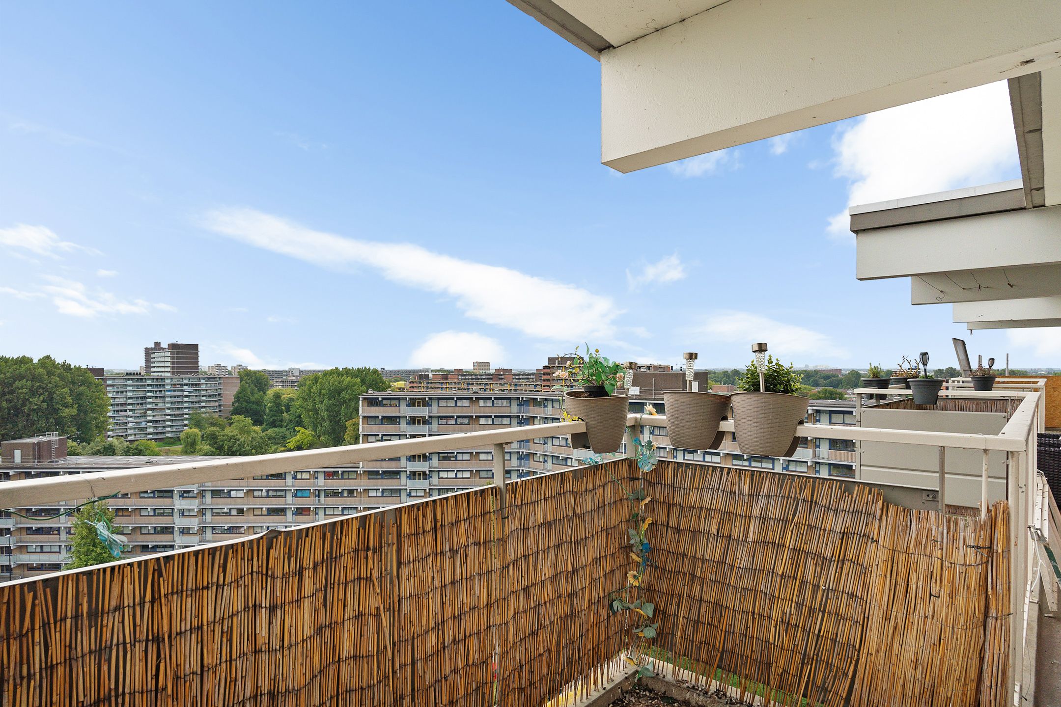 Foto 45 van Jonkerbos 250