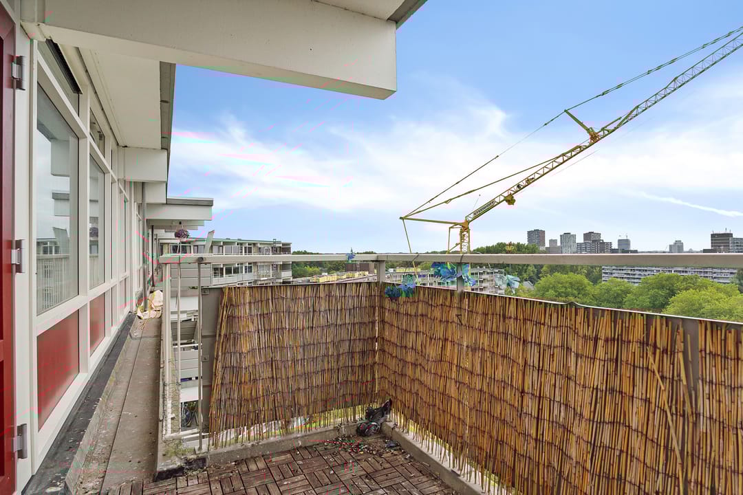 Foto 46 van Jonkerbos 250