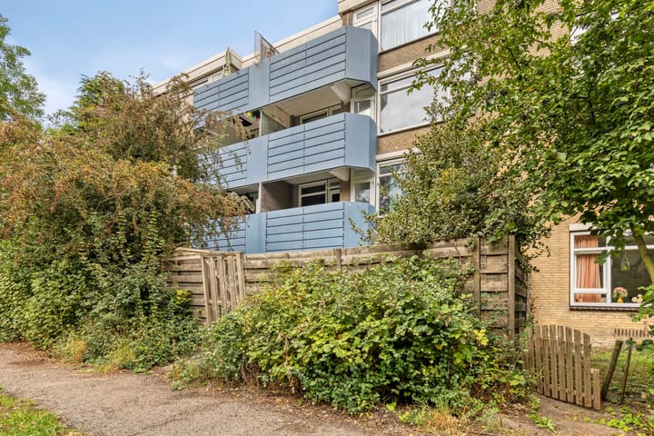 Foto 18 van Midscheeps 9