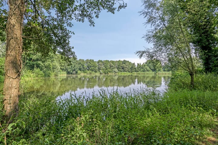 Foto 35 van Wooijstraat 11