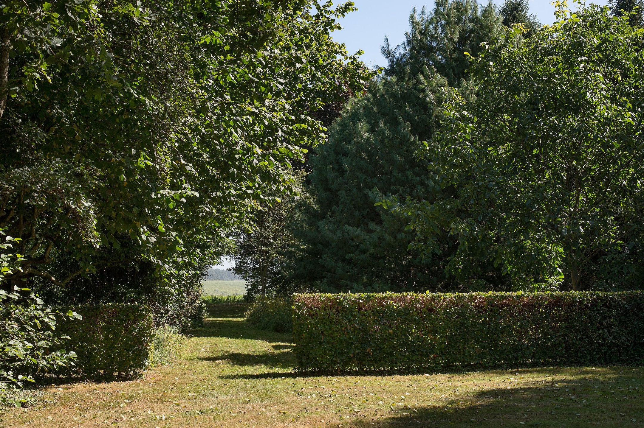 Foto 48 van Ericasestraat 11