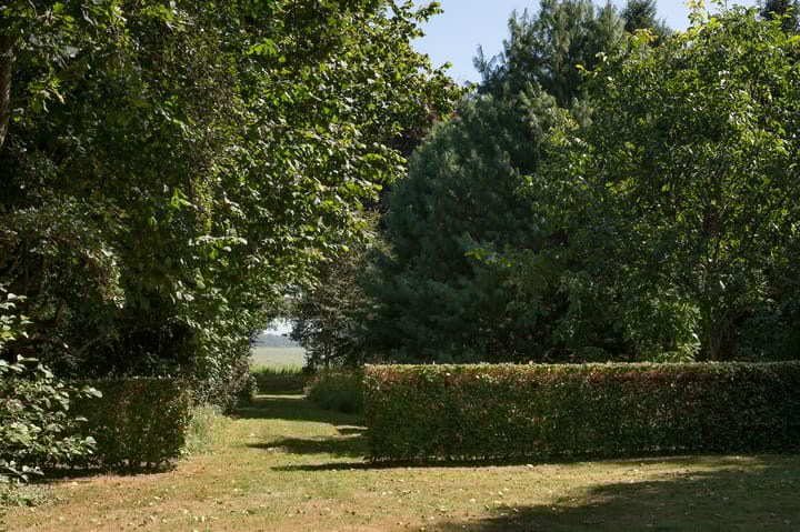 Photo 48 of Ericasestraat 11