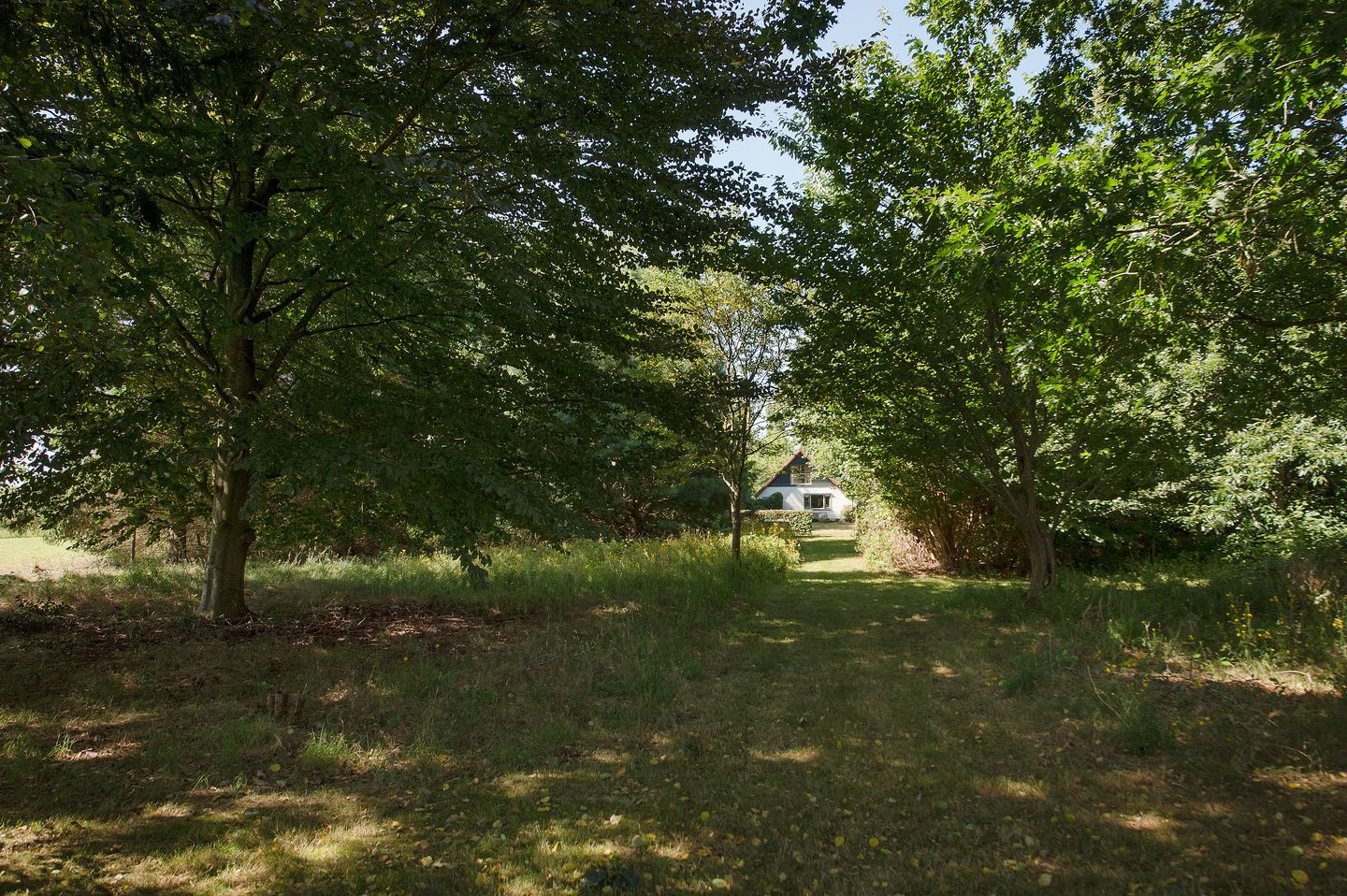 Foto 50 van Ericasestraat 11