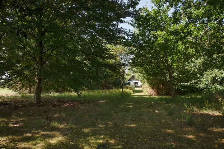 Photo 50 of Ericasestraat 11