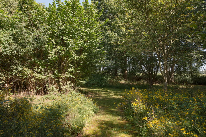 Photo 51 of Ericasestraat 11