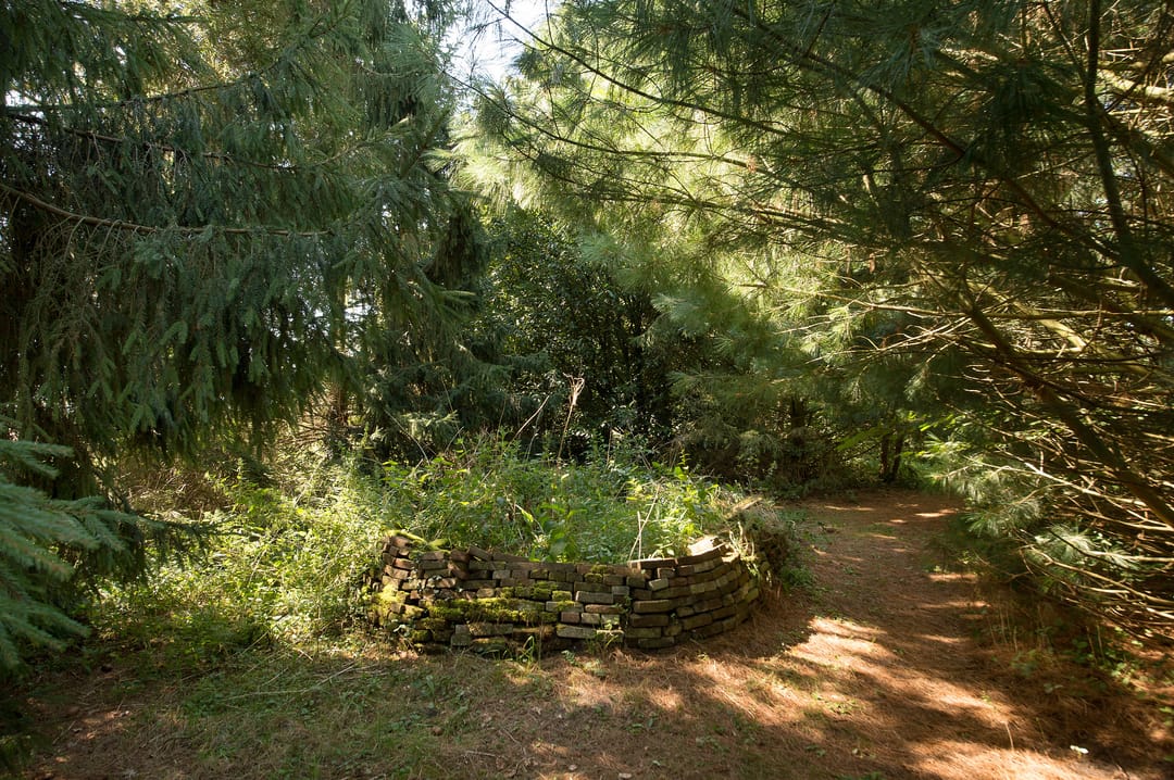 Foto 52 van Ericasestraat 11