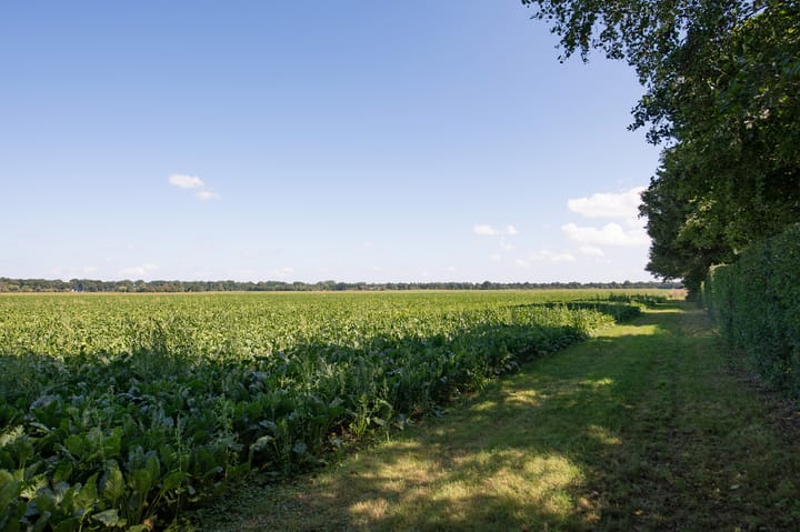 Photo 3 of Ericasestraat 11