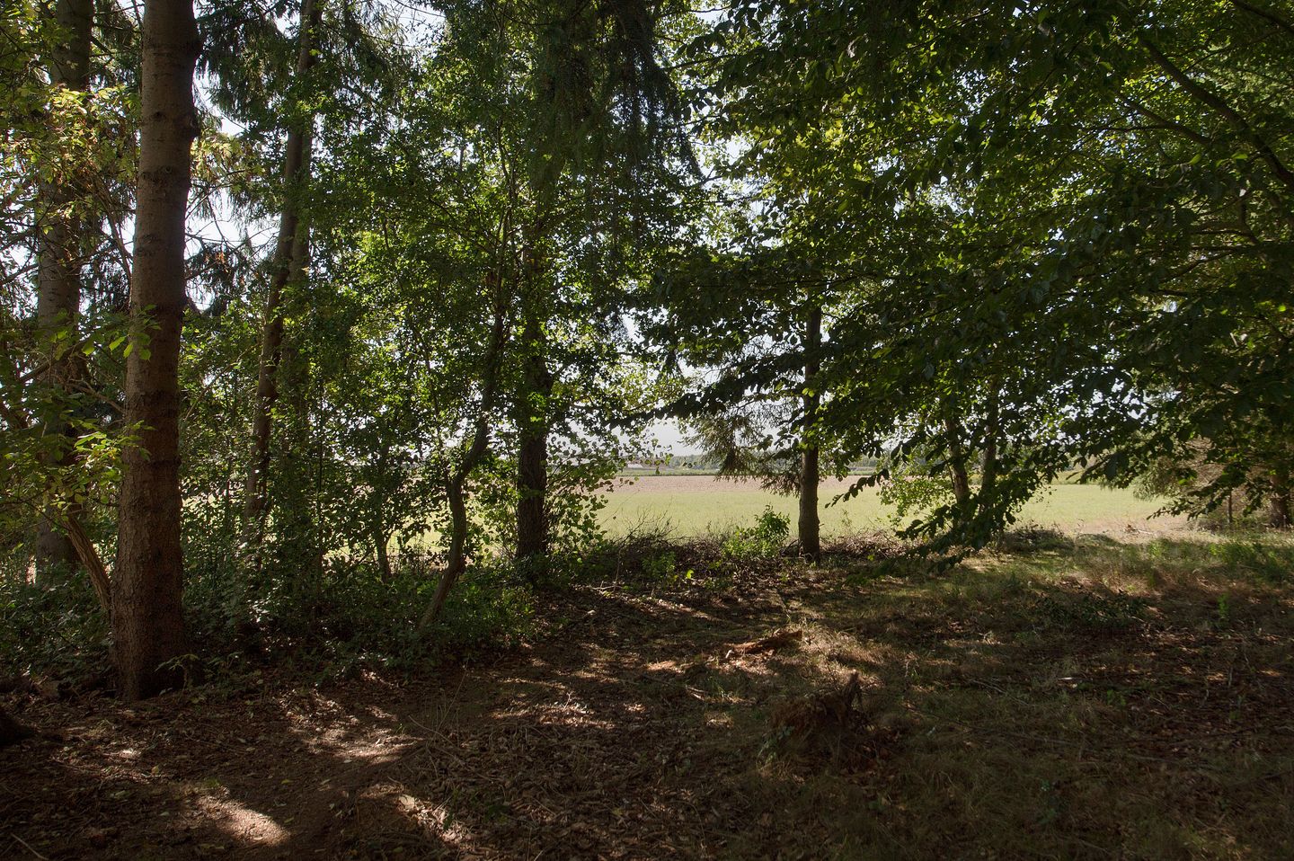 Foto 59 van Ericasestraat 11