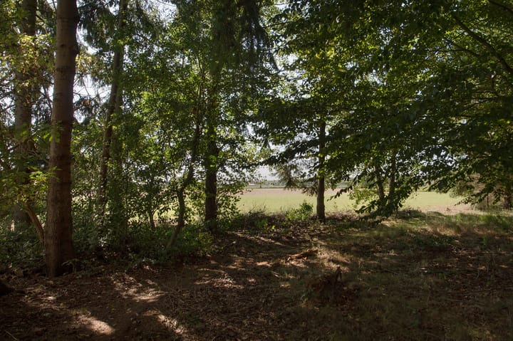 Photo 59 of Ericasestraat 11