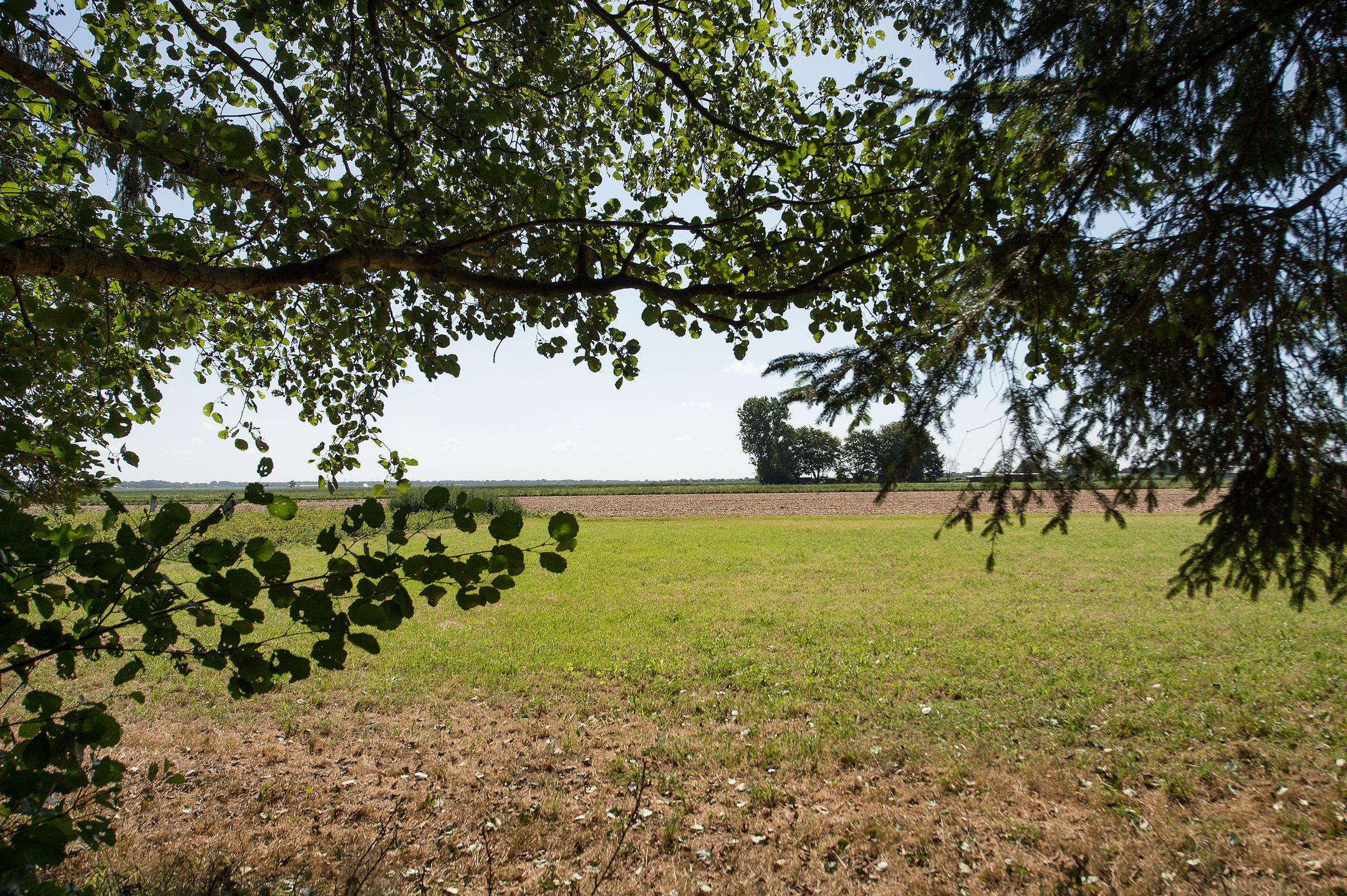 Foto 60 van Ericasestraat 11