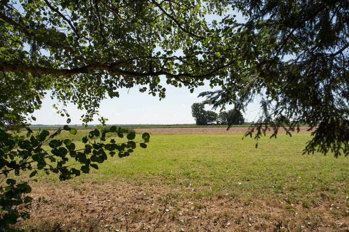 Photo 60 of Ericasestraat 11