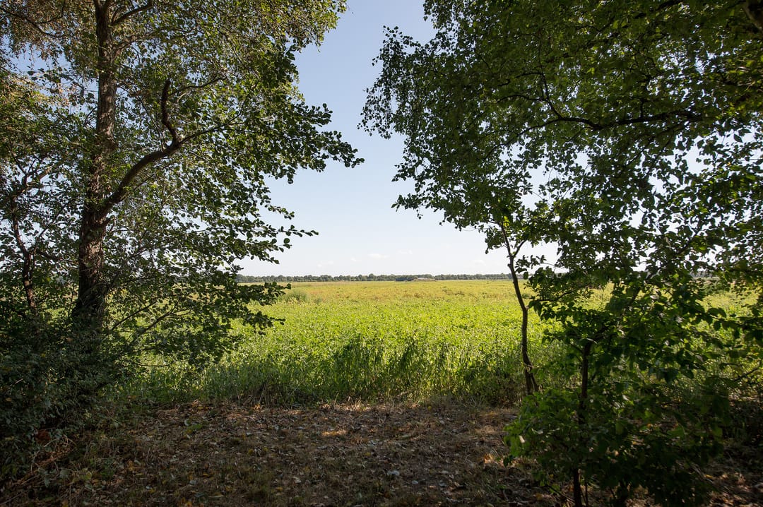 Foto 61 van Ericasestraat 11