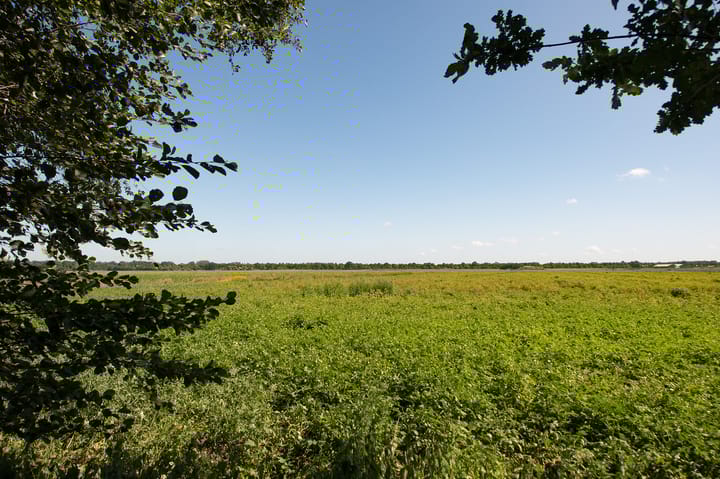 Photo 62 of Ericasestraat 11