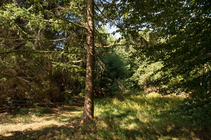 Photo 58 of Ericasestraat 11