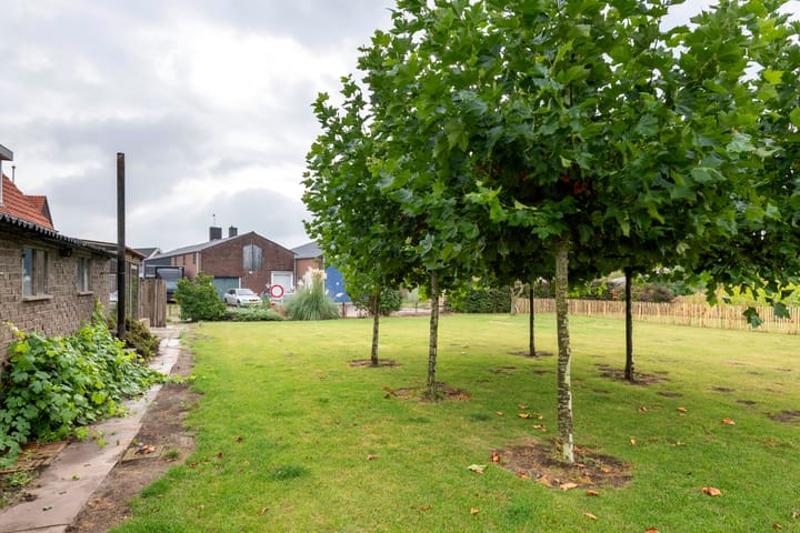 Foto 19 van Dijkstraat 6