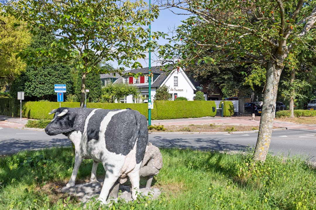 Foto 28 van Laarderweg 84