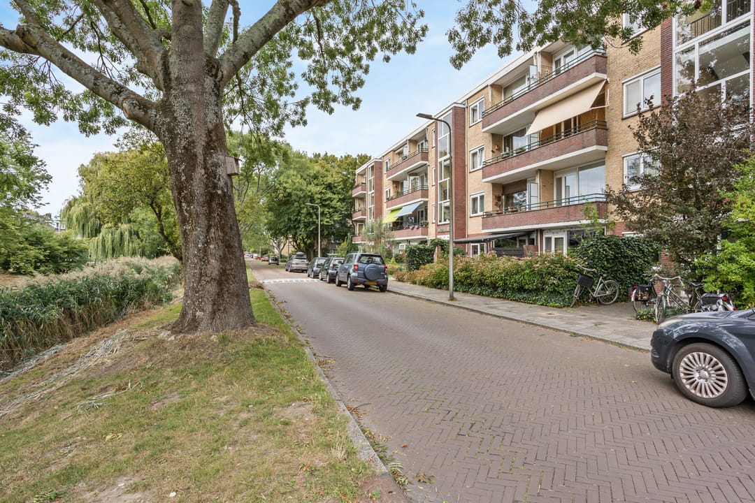 Foto 2 van Schubertplantsoen 21