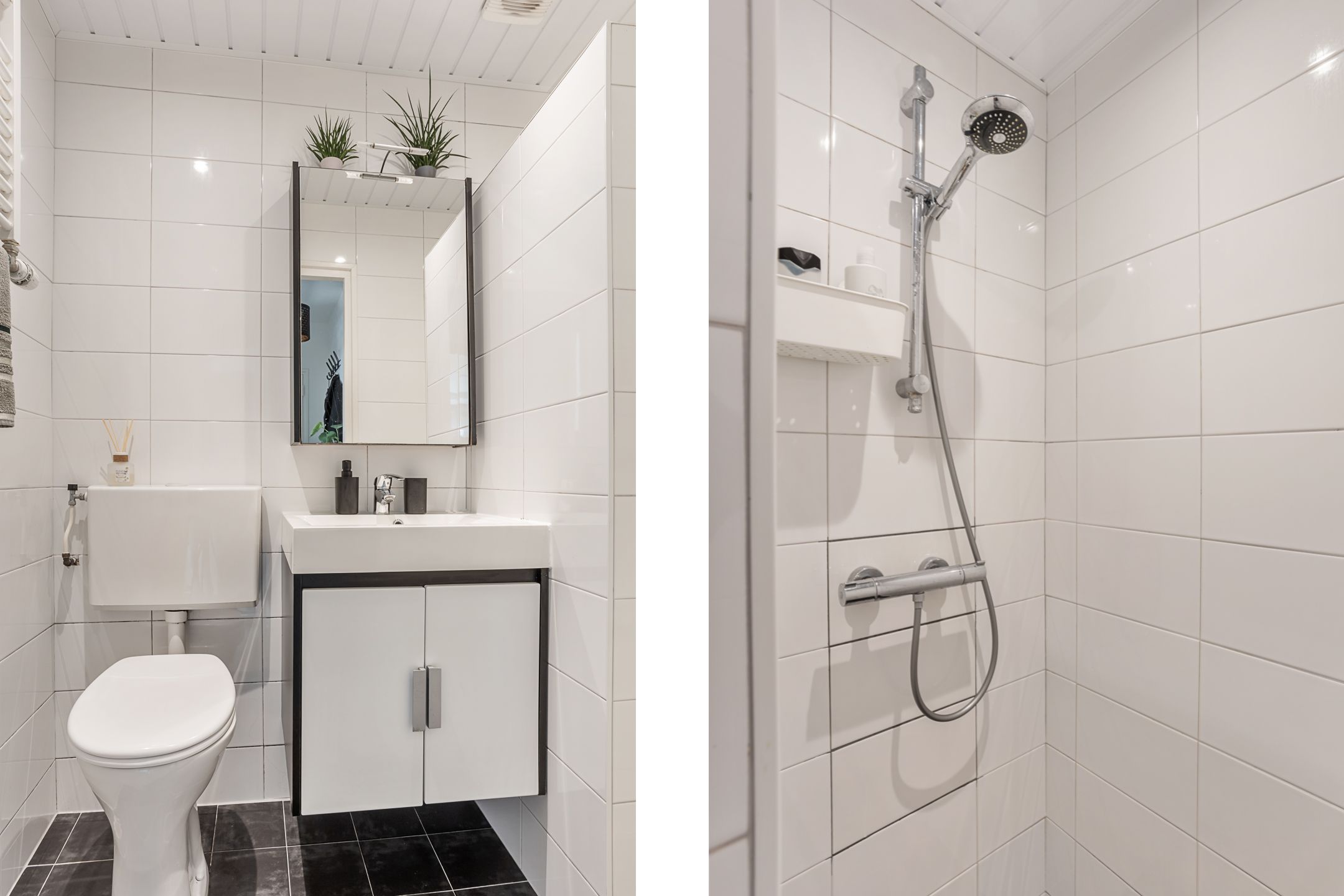 Foto 12 van Schubertplantsoen 21