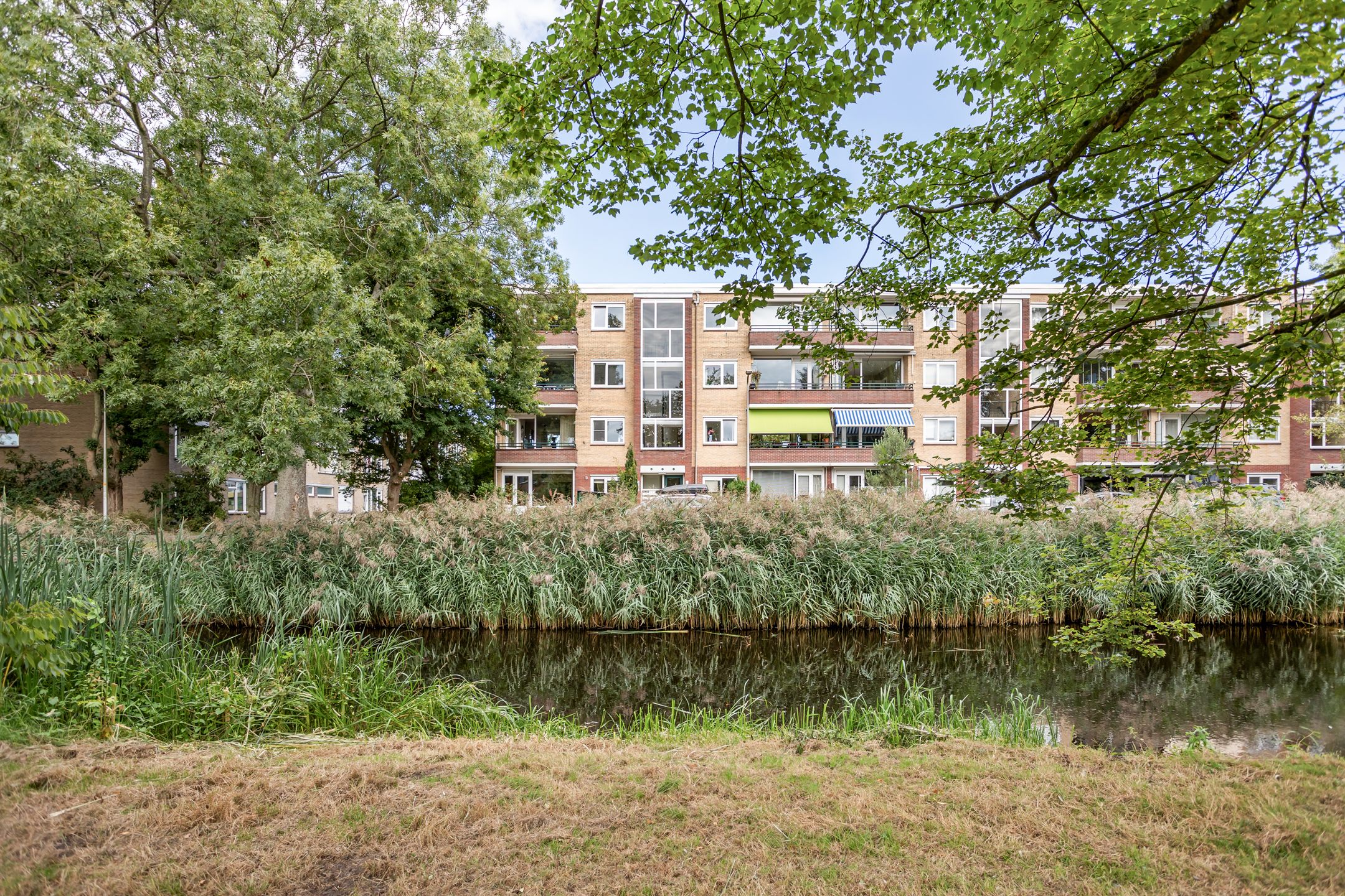 Foto 18 van Schubertplantsoen 21