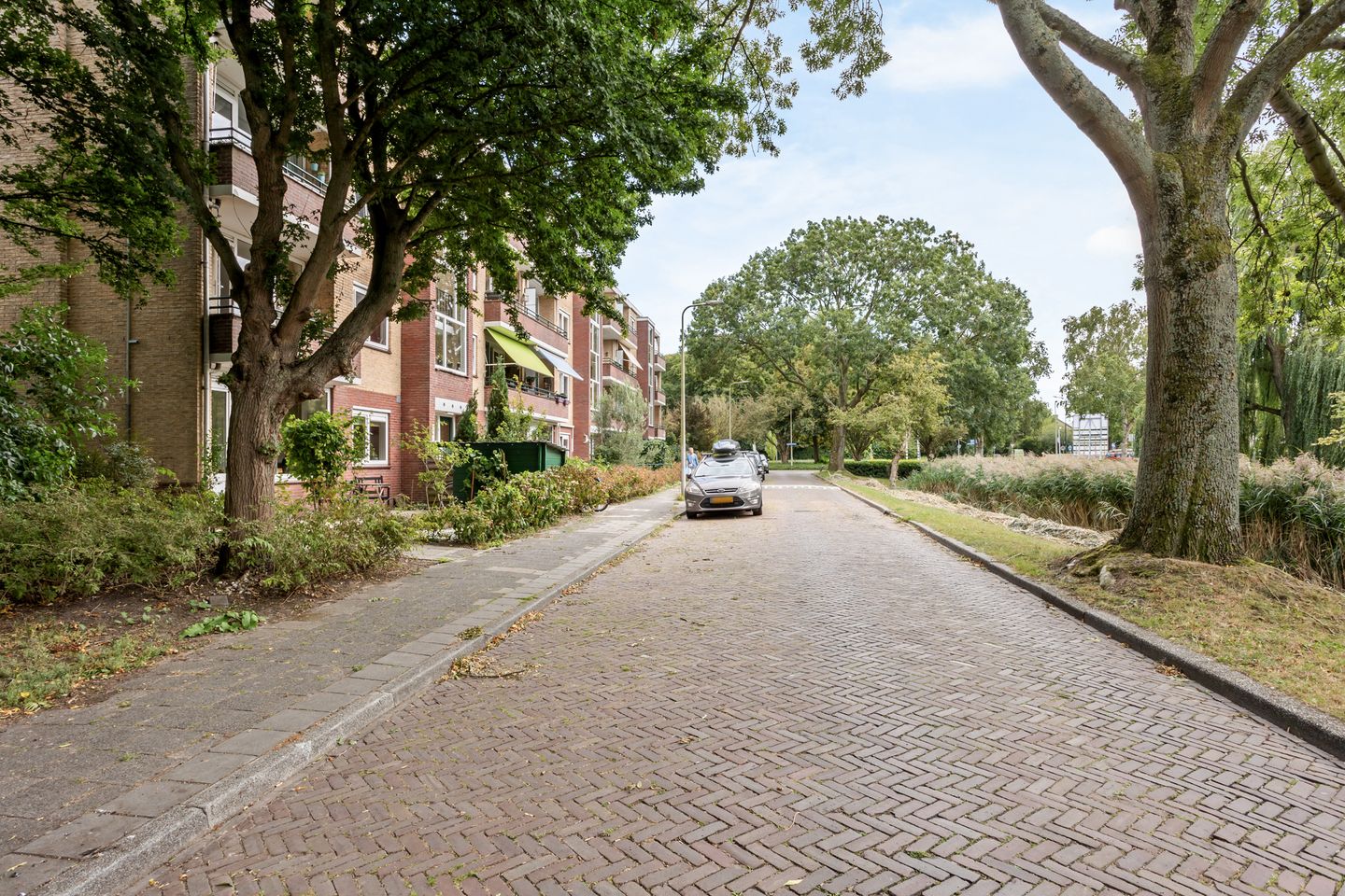 Foto 19 van Schubertplantsoen 21