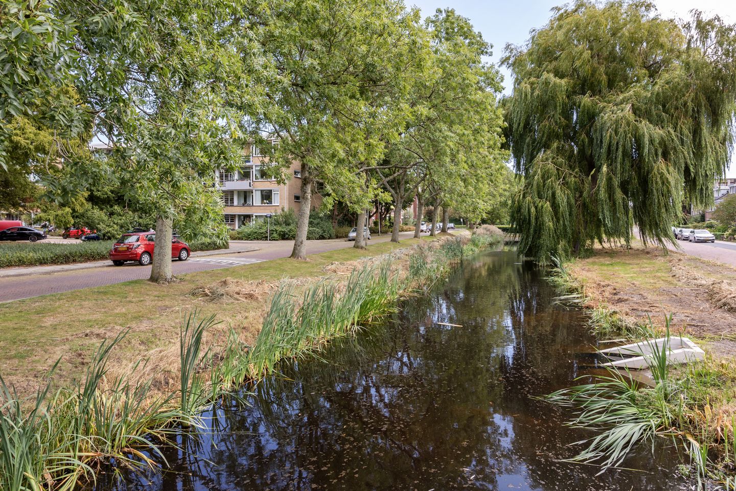 Foto 20 van Schubertplantsoen 21