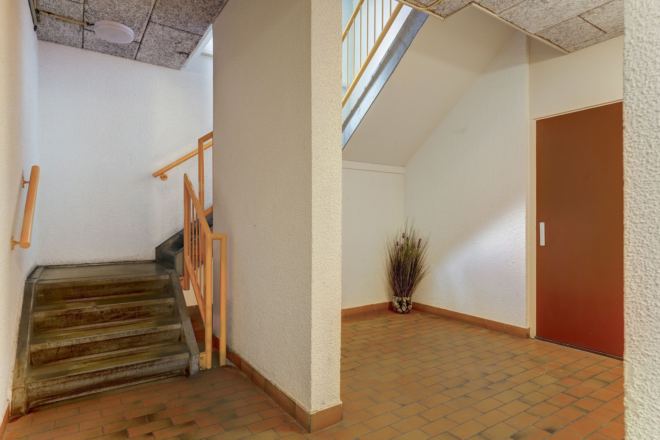 Foto 33 van Museumstraat 27