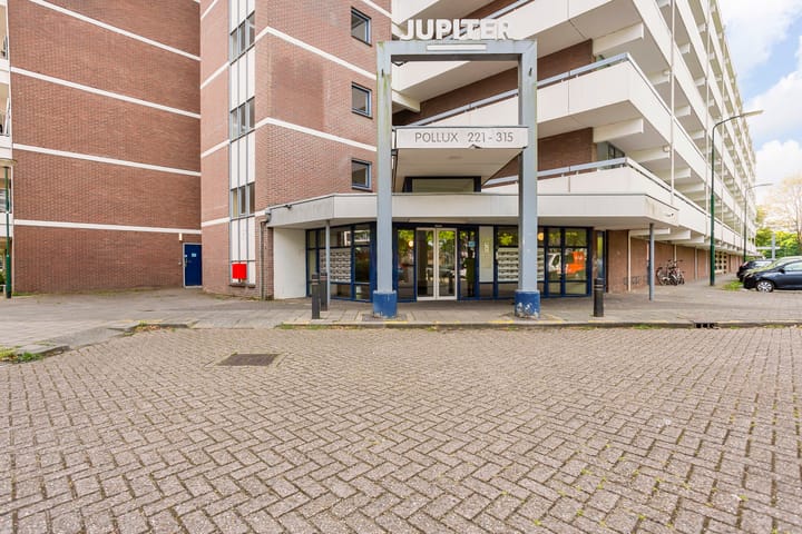 Foto 2 van Pollux 225