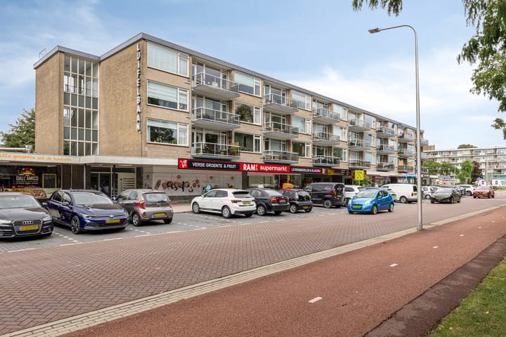 Foto 29 van Brederolaan 20