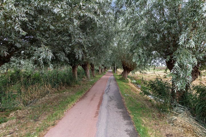 Foto 32 van Brederolaan 20