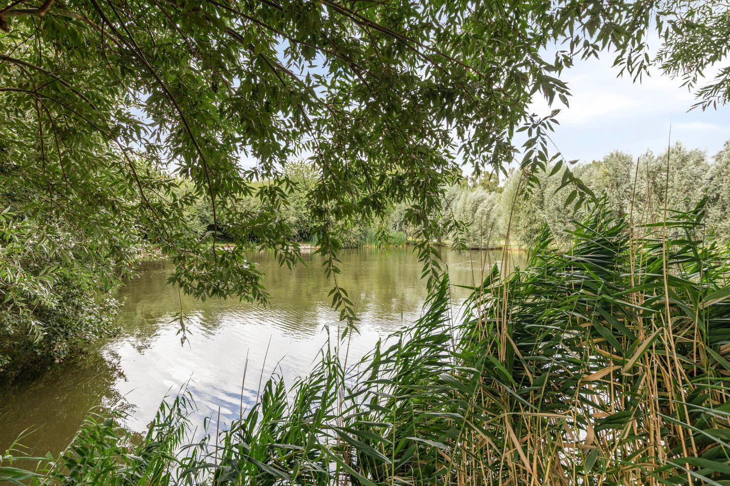 Foto 34 van Brederolaan 20