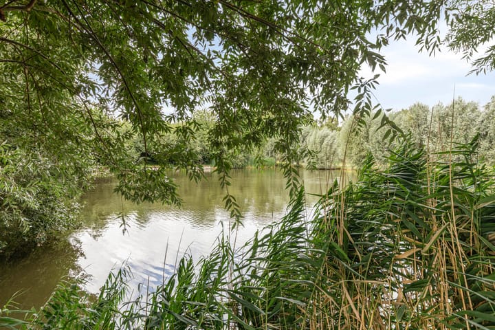 Foto 34 van Brederolaan 20