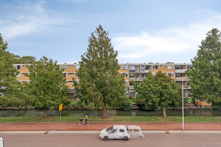 Foto 35 van Brederolaan 20