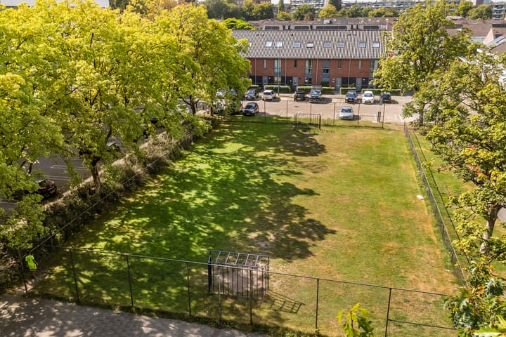 Foto 32 van Pollux 225