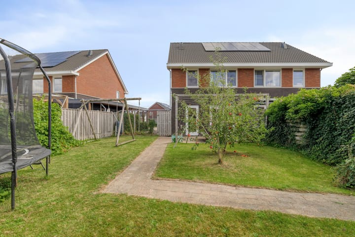 Foto 4 van Buizerd 20