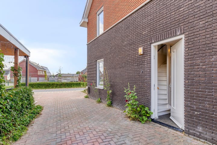 Foto 5 van Buizerd 20