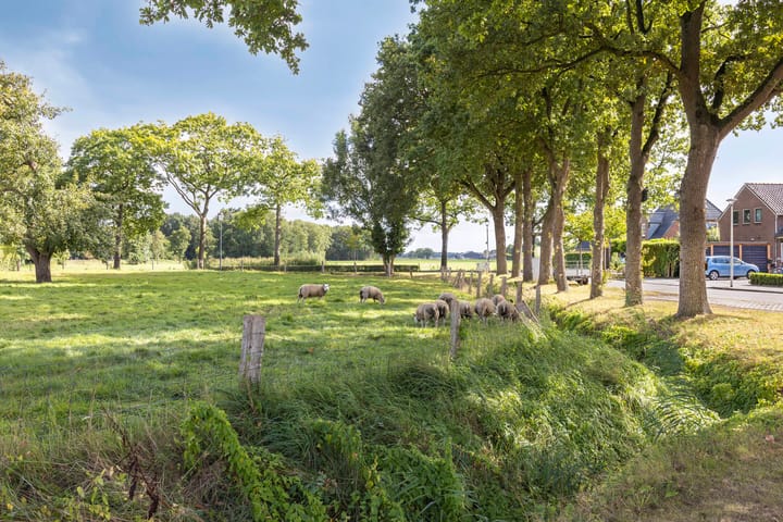 Photo 33 of Burgemeester Nijsinghweg 10