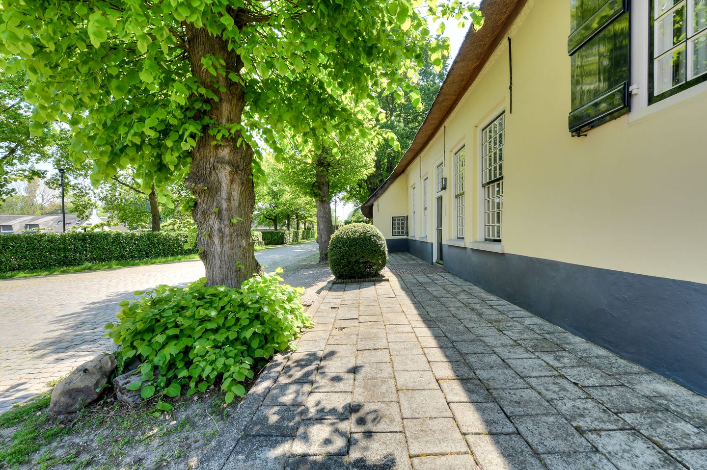 Foto 10 van Leijsenstraat 51