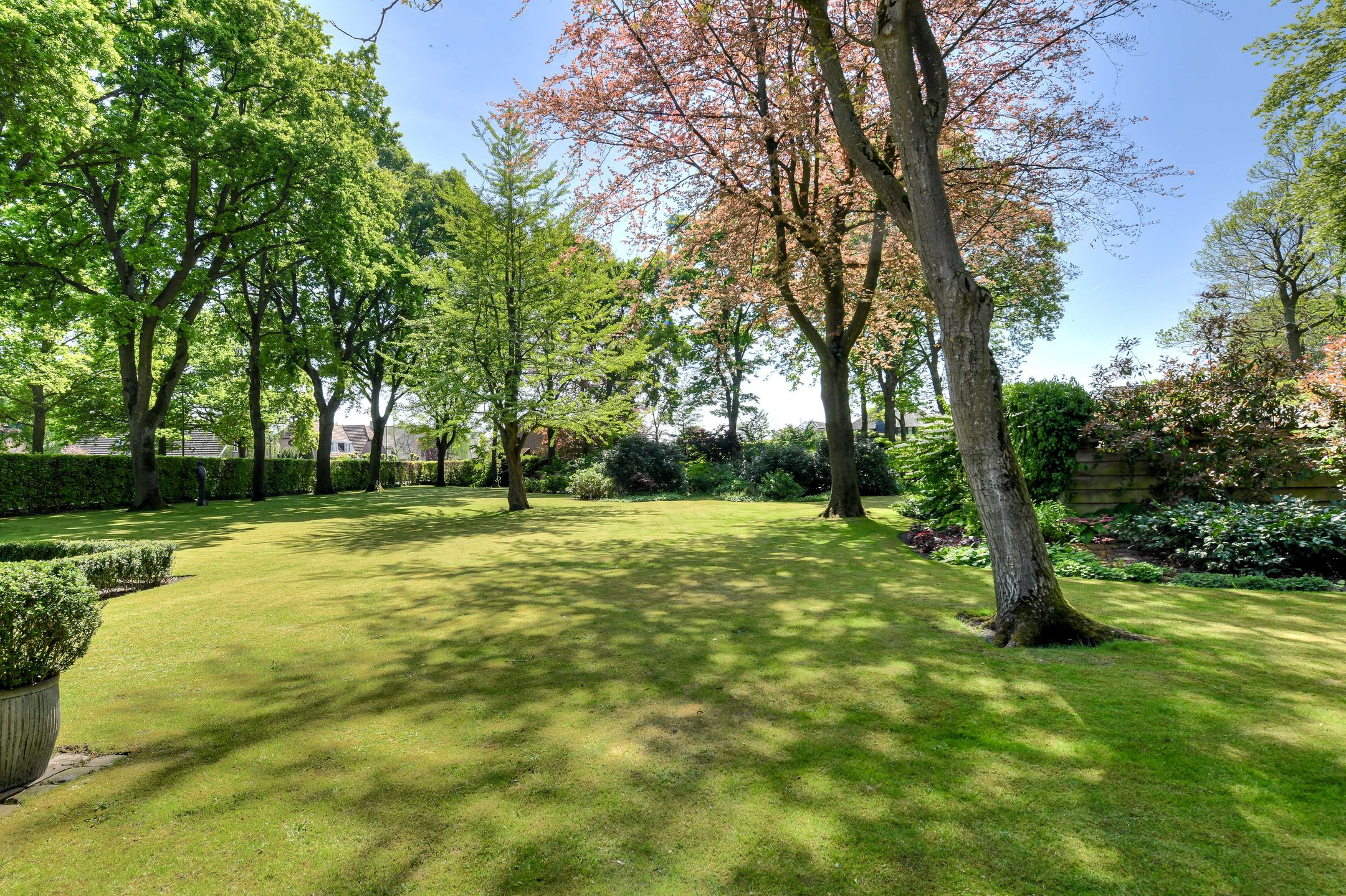 Foto 69 van Leijsenstraat 51