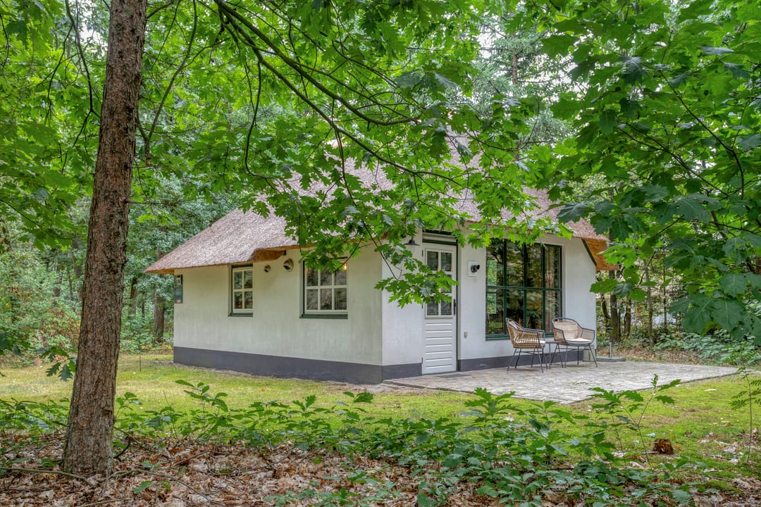 Foto 1 van Herperduin | Van Gogh Design 36