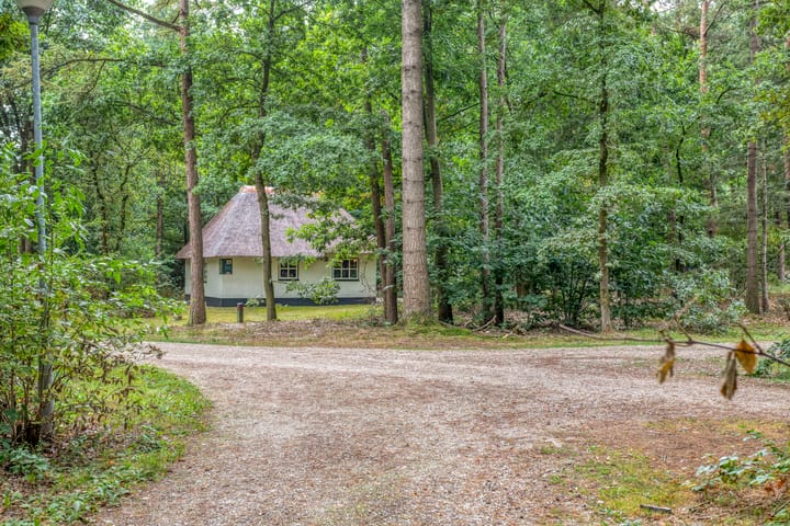 Foto 5 van Herperduin | Van Gogh Design 36