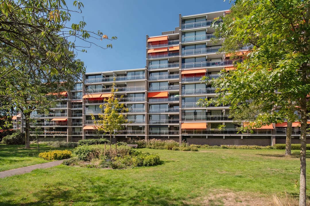 Foto 1 van Elzendreef 177