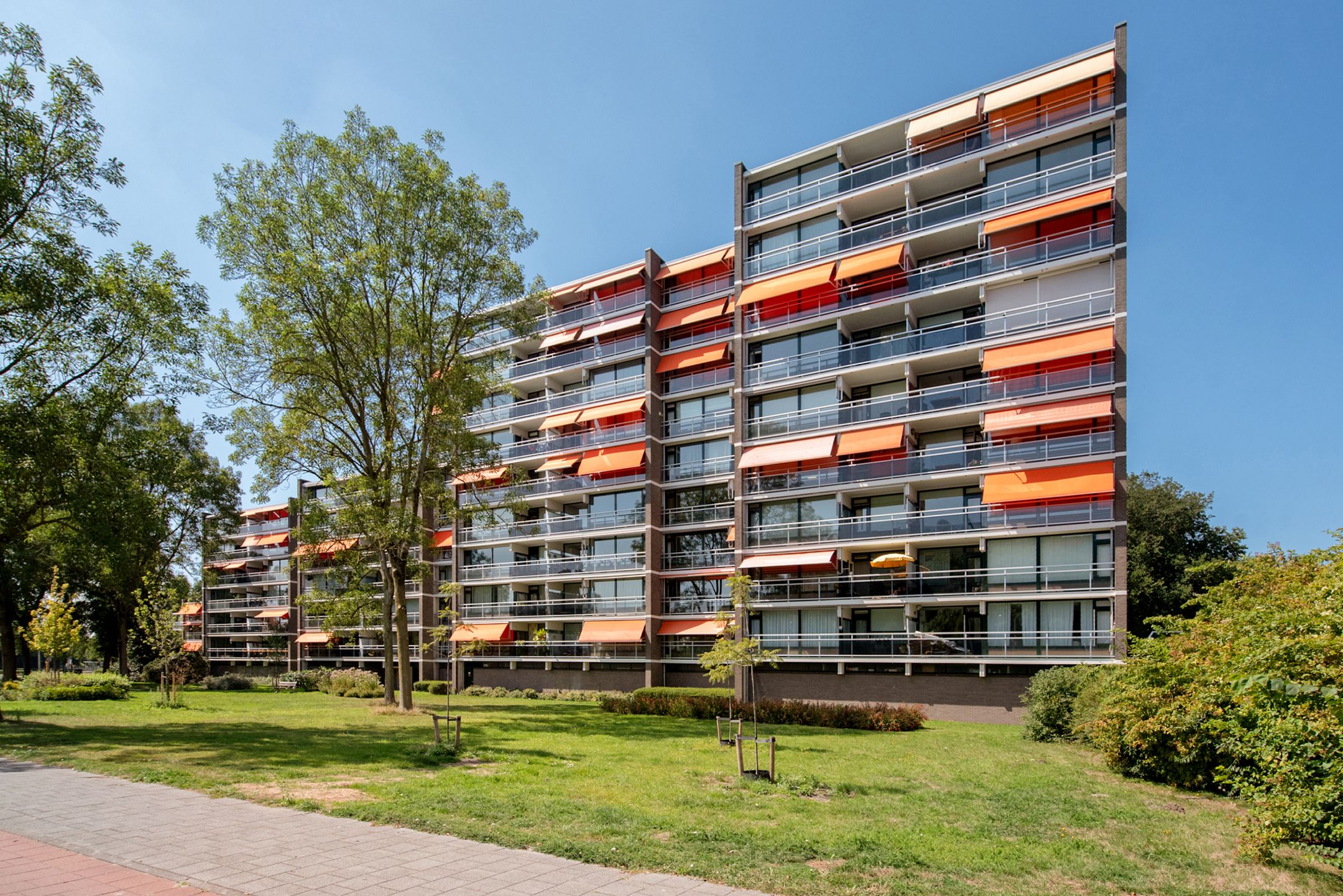 Foto 6 van Elzendreef 177