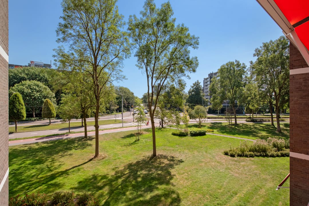 Foto 22 van Elzendreef 177