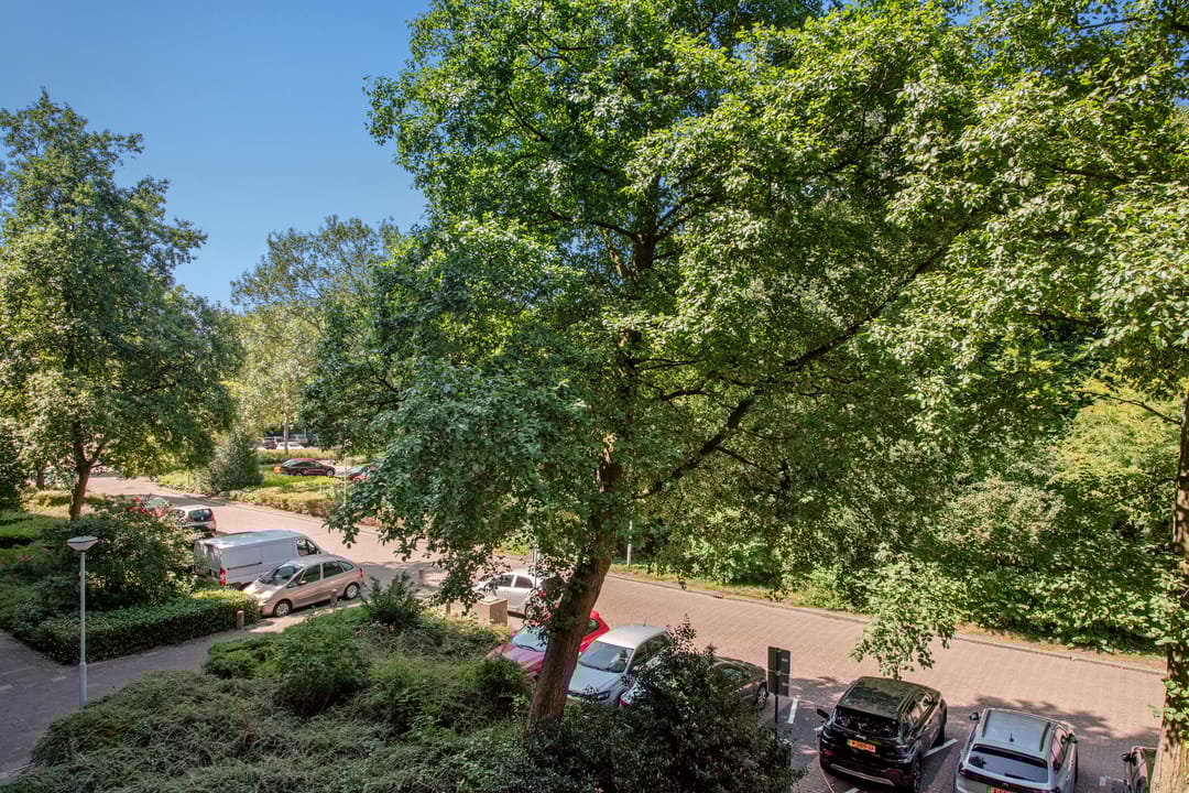 Foto 23 van Elzendreef 177