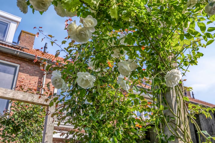 Foto 27 van Bakelgeertstraat 31