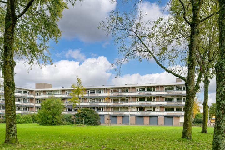 Foto 5 van Bolestein 794