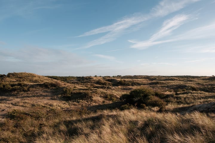 Foto 61 van Pauluslaan 51