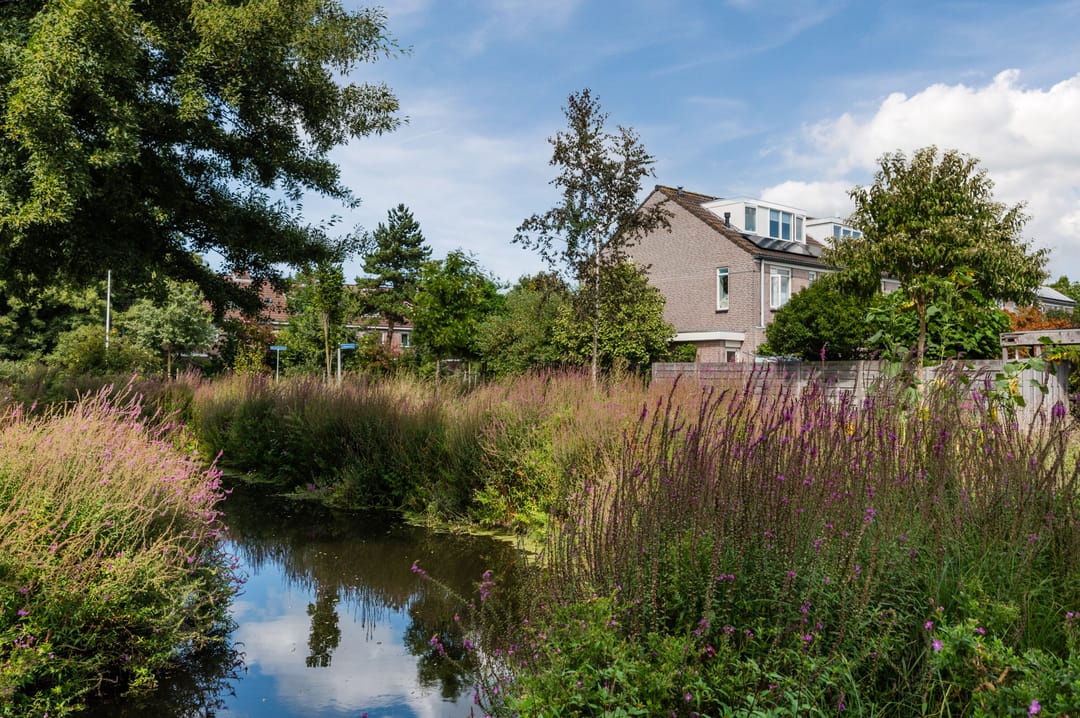 Photo 43 of Anemoonstraat 32